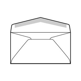 Commercial Regular Envelopes 24 White Wove